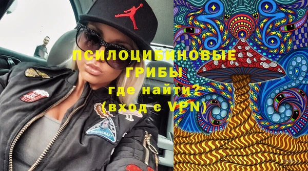 дурь Вязьма